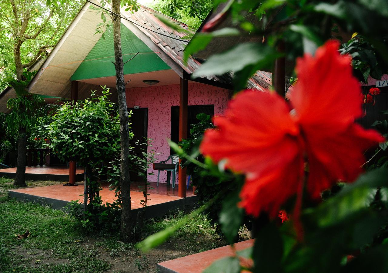 Coral Bungalows Haad Rin Exteriör bild